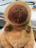 獅勒土撥鼠玩偶卡皮巴拉水豚君公仔倉鼠毛絨玩具女孩娃娃搞怪生日禮物 #1#【六一兒童節(jié)禮物】 約40c·m[公仔+背包]780g 曬單實拍圖