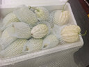 農(nóng)大姐妹【順豐】蘋果苦瓜生吃 白玉苦瓜 新鮮蔬菜現(xiàn)摘涼瓜 壽光基地直發(fā) 5斤 曬單實(shí)拍圖
