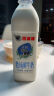 香满楼 牧场鲜奶瓶装946ml*1瓶  3.5g优质蛋白 高钙富硒巴氏杀菌乳 实拍图