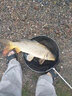 禧瑪諾（SHIMANO）高碳素路亞竿全套裝紡車(chē)輪進(jìn)口釣魚(yú)竿遠投水滴輪魚(yú)竿海竿十大品牌 1.93m 槍柄L調+左水滴輪+竿包 曬單實(shí)拍圖