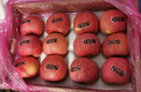 靈寶蘋果 LINGBAO APPLE順豐靈寶寺河山蘋果SOD紅富士富硒孕婦水果富硒脆甜平安果禮盒裝 90mm-95mm(不含)無SOD字12果禮盒 曬單實拍圖