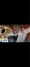petofstory宠物猫零食冻干鸡脖磨牙零食 洁齿猫咪磨牙棒猫咪零食用品100g 实拍图