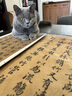 趙孟頫書(shū)蘭亭序 彩色放大本中國著(zhù)名碑帖 第一集輯 上海辭書(shū)出版社 孫寶文 曬單實(shí)拍圖