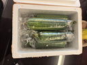 短棒肉絲瓜新鮮翡翠絲瓜香絲瓜水瓜福建蔬菜1-5斤 2500g 5斤 曬單實(shí)拍圖