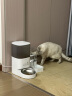 AITAPET宠物自动喂食器猫碗猫食盆自动喝水投食器猫咪饮水机喂水用品 自动喂水器2.7L 实拍图