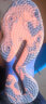 adidas PRO BOUNCE团队款实战篮球运动鞋男子阿迪达斯官方FW5744 黑/深蓝/橙色 46(285mm) 实拍图