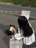 FSHE法式氣質(zhì)白色連衣裙女早春韓系氛圍感穿搭顯瘦長袖娃娃裙子女新款 白色 均碼 曬單實(shí)拍圖