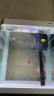 技研精工（JIYJNJINGGONG）鱼缸客厅小型家用带增氧桌面超白玻璃过滤生态懒人鱼缸220 实拍图