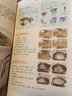 舌尖上的中國 傳統美食炮制方法全攻略美食書(shū) 百姓家常菜3600例正版菜譜書(shū)家常菜大全食譜全套美食書(shū)籍圖解北方家常菜中國菜譜大全食譜營(yíng)養烹飪入門(mén)家用簡(jiǎn)單美食養生湯粥廚師書(shū)炒菜燒菜書(shū)籍 舌尖上的中國+百姓 曬單實(shí)拍圖