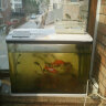 SICCE鱼缸懒人鱼缸家用客厅办公室金鱼缸中小型玻璃鱼缸过滤鱼缸 SO-600F（600*230*500） 实拍图