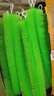 魚(yú)之眼錦鯉魚(yú)池過(guò)濾毛刷過(guò)濾材料魚(yú)缸不銹鋼消音濾材毛圈專(zhuān)業(yè)級(jí)水循環(huán) 70cm【綠色毛刷】10支 曬單實(shí)拍圖