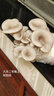 菇婆婆平菇蘑菇菌包菌棒盆栽食用菌種家庭陽(yáng)臺(tái)學(xué)校幼兒園采新鮮蘑菇 平菇-標(biāo)準(zhǔn)款實(shí)發(fā)4袋 袋裝 曬單實(shí)拍圖
