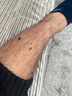 叄南叄南牛仔褲男春夏薄款大碼寬松彈力緊腰束腳九分休閑潮流哈倫褲子 510黑色+509黑色 L【110斤-125斤】 曬單實拍圖