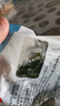 鮮海帶 鹽漬海帶絲 涼拌菜海帶絲食材鮮嫩 新鮮鹽漬海帶絲250g 曬單實(shí)拍圖