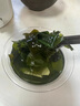 東山館干裙帶菜烘干海帶菜涼拌菜海產(chǎn)干貨無(wú)沙免洗煲湯火鍋食材高泡發(fā) 100g 曬單實(shí)拍圖