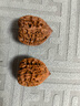 青皮文玩核桃運氣開(kāi)三棱麒麟紋官帽四座樓大奔三菱白獅子南疆石 帶皮盤(pán)山2個(gè)50mm以下 曬單實(shí)拍圖