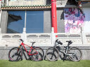 FRW世界十大自行车全球品牌排行榜辐轮王男女变速成人运动山地车单车 红黑金-下单备注净身高 实拍图