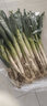 格沃斯（GEWOSI）山東大蔥鐵桿鮮嫩大蔥現挖現發(fā)農家自種大蔥批發(fā) 山東大蔥 10斤帶皮【8h現摘】 曬單實(shí)拍圖