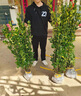 懶人熊冬青樹(shù)苗北海道黃楊庭院圍墻籬笆植物四季常青法國耐寒綠籬綠化樹(shù) 冬青40-50厘米高（50棵） 【帶土發(fā)貨包成活】 111cm(含)-140cm(含) 曬單實(shí)拍圖