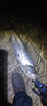 達億瓦（DAIWA）23款史帝茲魚(yú)線(xiàn)輪水滴輪STEEZ AII TW 1000四弟子A2海釣遠投漁輪 1000L 左手 速比6.3 曬單實(shí)拍圖