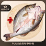 GUO LIAN國(guó)聯(lián)三去黃花魚(yú)2條共凈重2斤國(guó)產(chǎn)寧德東海大黃魚(yú)聚餐海鮮水產(chǎn)食材 曬單實(shí)拍圖