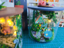 我の屋DIY玻璃瓶手工小屋奇幻仙境3d立体拼图桌面摆件玩具男女生日礼物 实拍图