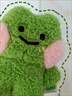 匯智之城  line friends 超萌布朗熊玩偶毛絨公仔可愛(ài)擺件ins高顏值情人節 小青蛙【帶掛牌】無(wú)盒子 曬單實(shí)拍圖