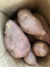 静益乐源商薯红薯 白心红薯 板栗红薯 农家地瓜 新鲜蔬菜 2.5kg 中大果 实拍图