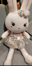 惠妮寶貝毛絨玩具小白兔兔子公仔布娃娃可愛女孩布偶小兔子玩偶生肖兔禮物 粉色 60厘米 曬單實(shí)拍圖