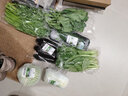密農人家新鮮蒿子稈 農家小葉菜 火鍋食材 小葉茼蒿 蒿子桿 新鮮蔬菜300g 曬單實(shí)拍圖