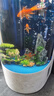 二月花魚(yú)缸造景套餐一整套裝飾品擺件仿真水草全套景觀(guān)假山小缸造型內飾 60-DY-A05套餐 適合長(cháng)60/80cm的魚(yú)缸 不包含魚(yú)缸 曬單實(shí)拍圖