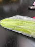 皓謙山東旱黃瓜新鮮水果5斤整箱脆嫩小黃瓜小青瓜孕婦蔬菜特產(chǎn) 5斤 曬單實(shí)拍圖