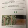 芳香中藥學(xué) 熊磊 趙毅 解宇環(huán) 著 中國中醫(yī)藥出版社 芳香中藥系列叢書芳香療法書籍 曬單實(shí)拍圖