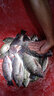 柏羽專(zhuān)攻鯽魚(yú)野釣打窩料魚(yú)餌料釣魚(yú)底窩發(fā)酵玉米酒糟麥粒草魚(yú)鳊魚(yú)青魚(yú)通用五谷雜糧黑坑配方 爆窩鯉魚(yú)5斤(已加聚窩小藥) 曬單實(shí)拍圖