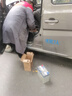 瓦爾塔（VARTA）汽車(chē)電瓶蓄電池 藍標 55B24LS 本田雅閣海獅S千里馬 以舊換新 曬單實(shí)拍圖