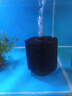 信友魚缸蝦缸水族箱生化棉過濾器XY-180 280 380水妖精組缸系統(tǒng)缸 XY-380水妖精 曬單實(shí)拍圖