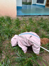 憨憨寵狗狗雨衣狗衣服小型犬全包四腳反光戶外防風(fēng)保暖沖鋒衣服防水雨披 粉色 L號(hào)建議體重5-8斤 曬單實(shí)拍圖