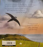 雨燕的旅程 Swift An Epic Story of a Small Birds Courage 英文原版 兒童動(dòng)物故事書(shū) 科普繪本 進(jìn)口童書(shū)5-7歲 曬單實(shí)拍圖