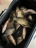 威拓森鯽魚(yú)散炮黑坑專(zhuān)用餌料野釣散泡窩料冬季釣魚(yú)奶香魚(yú)餌打窩 【奶香型，四季通用】1斤裝 曬單實(shí)拍圖