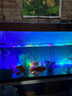 魚(yú)之眼魚(yú)缸燈led燈防水造景燈水族燈照明燈氣泡條燈管水族箱增氧氣泡燈 100cm 七彩漸變款 +氣泵套餐 曬單實(shí)拍圖