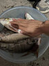 老G花生重窩魚餌打窩料底窩窩料野釣鯉魚窩料鯪魚窩料釣魚餌料 【推薦】花生重窩3包 曬單實(shí)拍圖