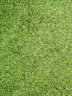 夺秀 仿真草坪地毯塑料假草皮 人造草坪阳台户外人工草坪幼儿园假草坪 20mm标准款耐用春草/平方 每平方尺寸（2米*0.5米） 实拍图