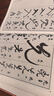 草字匯 曬單實(shí)拍圖