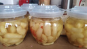 山村辣媽淄博枸杞泡姜芽新鮮嫩姜芽酸甜腌制泡菜開(kāi)胃菜仔姜糖醋生姜姜片 淄博枸杞泡姜芽500g*4罐 曬單實(shí)拍圖