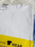 苏洛寻打底衫女春秋季新款韩版性感长袖T恤女套头修身内搭纯色T恤衫 圆白色 XL (建议105-115斤) 实拍图