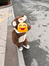 巴拉巴拉兒童套裝男童冬裝2023女童兩件套珊瑚絨加絨萌趣可愛(ài)208423104203 曬單實(shí)拍圖