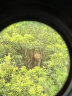 熊猫（PANDA） 单筒变倍变焦望远镜高倍高清微光夜视手持演唱会观鸟 90K（8-20X50）拍照支架款 实拍图