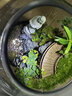 丘辰苔蘚微景觀生態(tài)瓶diy辦公室內(nèi)桌面綠植盆栽臥室植物盆景擺件禮物 （上岸景觀+苔蘚+燈底座+噴壺） 曬單實拍圖
