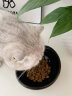 派乐特猫碗陶瓷猫粮碗狗碗猫食盆猫咪饭碗饭盆大水碗斜口碗宠物用品1个 实拍图