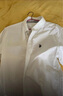 U.S. POLO ASSN.保羅長(cháng)袖襯衫女裝新款商務(wù)休閑正裝開(kāi)衫上衣打底衫春裝內搭制服 白色 S 曬單實(shí)拍圖